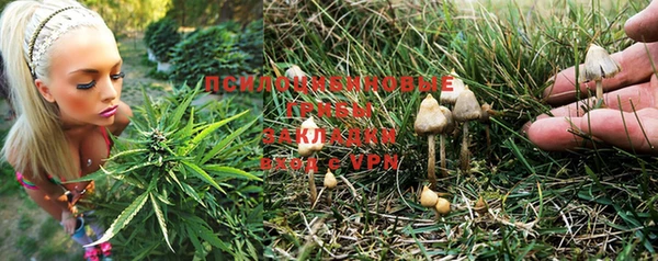 соль ск Алексеевка
