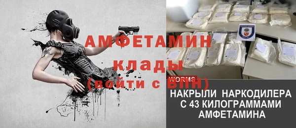 ECSTASY Алзамай