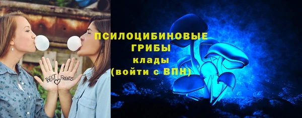 а пвп мука Саяногорск