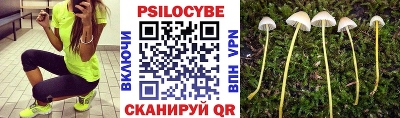 Галлюциногенные грибы Cubensis  Ефремов 