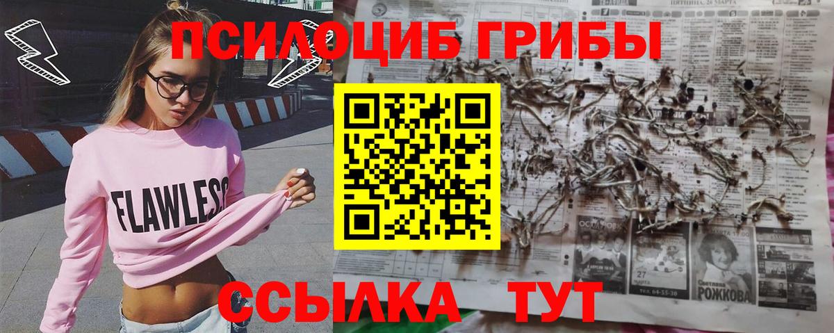 Галлюциногенные грибы мухоморы Ефремов