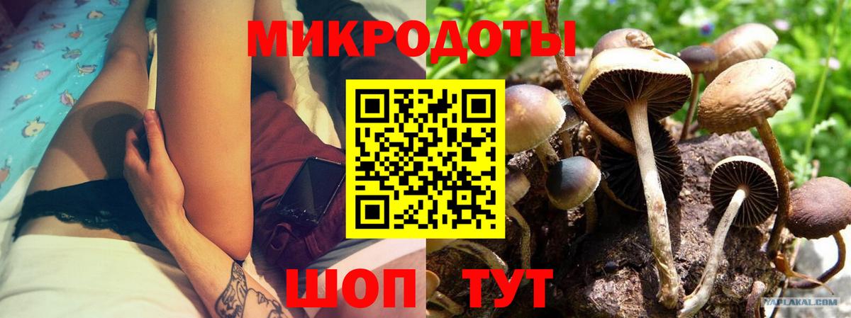 где купить наркоту  Псилоцибиновые грибы мухоморы  Вход с VPN  Ефремов 